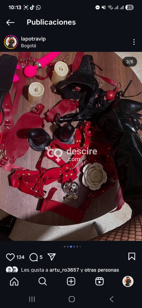 DE ALTO NIVEL TU POTRA POCOS DIAS - Caracas - Venezuela